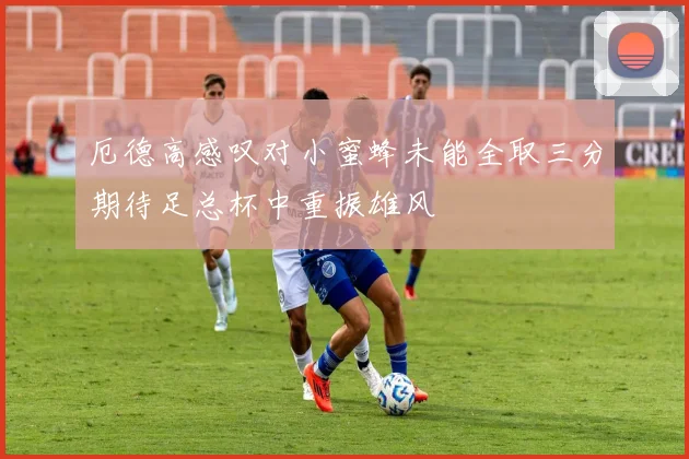 厄德高感叹对小蜜蜂未能全取三分期待足总杯中重振雄风